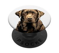Chocolate Lab Perro Chocolate Labrador Retriever PopSockets PopGrip Adhesivo