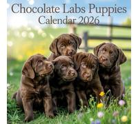 Chocolate Labs Puppies Calendar 2026: 12 Months of Puppies Dogs: from January to December 2026 | The ideal gift for both planning, organization and dogs