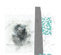 Choir of Young Belie - Grasque [Vinilo]