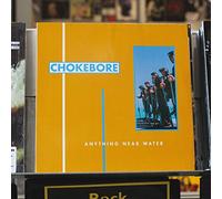 Chokebore - Anything Near Water [Vinilo]