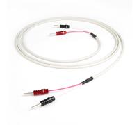 Chord Rumour X Cable de altavoz Un par de enchufes óhmicos de acordes terminados