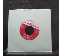 CHORDETTES - born to be with you 45 rpm single