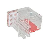Chosertory Housing Nest Acrílico Transparente Caja de Hábitat Villa de Hormigas Castillo con Área de Alimentación y Diseño Educativo para Niños Adecuada, 1.5 Cm