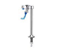 Chosertory Llenador Vasos Práctico Grifo Acero Inoxidable con Mango Pulsador para Cafeterías, Cervecerías, Cocinas, Estándar
