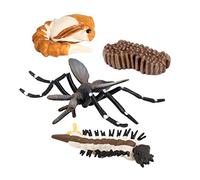 Chosertory Paquete Educativo Proceso de Vida Animal Figura Plástica Simulación Enseñanza Cognitiva Adecuado para Clases Juegos en Casa Preescolar