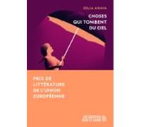Choses Qui Tombent Du Ciel (ebook)