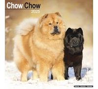 Chow Chow Calendar 2025 Square Dog Breed Wall Calendar - 16 Month: Original Avonside-Kalender [Mehrsprachig] [Kalender]
