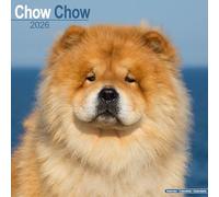 Chow Chow Calendar 2026 Square Dog Breed Wall Calendar - 16 Month