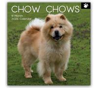 Chow Chows 2026 - 16-Monatskalender: Original Gifted Stationery-Kalender [Mehrsprachig] [Kalender]