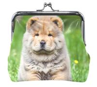 Chow Puppy Dog Grass - Monederos y bolsas para mujer, con hebilla, cierre de beso, monedero para monedas, Chow Puppy Dog Grass, Classic
