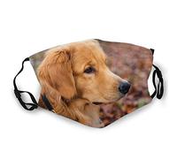 Chris Abrahams - Thrown