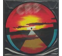 Chris Brotherhood Robinson - Dice Game & Let If Fall (Picture Disc)