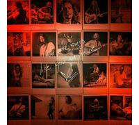 Chris Cornell - No One Sing like You (LP) [Vinilo]