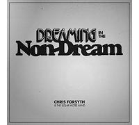 Chris Forsyth and The Solar Motel Band Dreaming in the Non-dream (Vinyl)