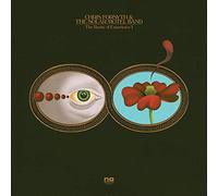 Chris Forsyth and The Solar Motel Ba The Rarity of Experience Pts. I & (Vinyl)
