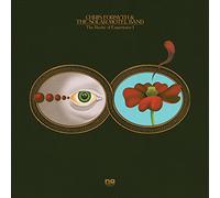 Chris Forsyth & The Solar Mote - The Rarity Of Experience