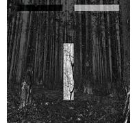 Chris Liebing Another Day (Vinyl) 12" Album (Importación USA)