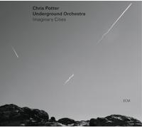 Chris Potter Underground Orchestra Imaginery Cities (Vinyl) 12" Album