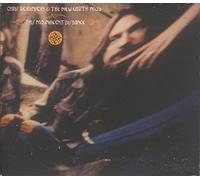 Chris Robinson & New Earth... - This Magnificent Distance