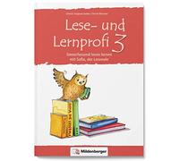 Christa Koppens Lese- und Lernprofi 3 - Schülerarbeitsheft: Sinner (Tapa blanda)