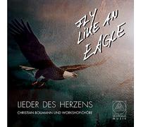 Christian Bollmann - Fly Like An Eagle