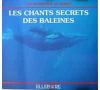 Christian Gence - Le Chants Secrets Des Baleines