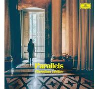 Christian Loffler Parallels: Shellac Reworks By Christian Loffler (Vinyl)