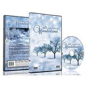 Christmas DVD - Falling Snow & Winter Wonderland with Beautiful Winter Scenery and Snowfalls