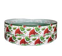 Christmas The Grinch & Cindy Loo 2 m x 22 mm de ancho, ideal para accesorios de decoración de tartas e ideas de decoración para envolver regalos, lazos, adornos o envoltorios para bolsas.