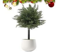 Christmas Tree Stake | 40x55cm Winter Festive, Full Appearance Christmas Outdoor Pine Tree with Stake,for Garden Lawn All-Occasion Decor Yard Patio Balcony New Year Party Holiday Season