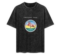 Christopher Cross Men's T-Shirt Unisex Black Cotton Hip Hop Print tee Shirts XXL