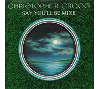 Christopher Cross - SAY YOU'LL BE MINE 7 INCH (7" VINYL 45) UK WARNER BROS 1979