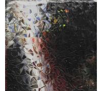 Christopher Tignor - Bleeding Past The Edges [Vinilo]