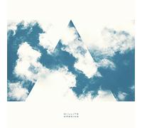 CHRISTOPHER WILLITS - Opening