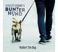 Christy Doran electric guitar - Walkin' The Dog