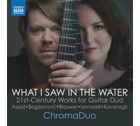ChromaDuo What I Saw in the Water: 21st-century Works for (CD) (Importación USA)