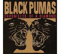 Chronicles Of A Diamond – Universal Music Group