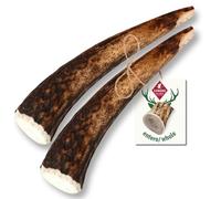 ChronoBalance M Asta de Ciervo para Perros, 100% Naturales Piezas Enteras, Palillo Masticable, Juguetes para Perros, Tratar Cuidado Dental, Sin Aditivos, Larga Duración, Conjunto de 2