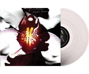 Chrysta Bell & David Lynch - Cellophane Memories (Limited Edition) (Clear Coloured) (LP)