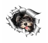 CHSLO 13/15/PVC Calcomanía Habanera Perro Mascota Impermeable Pegatina de Coche en Motocicleta Portátil Decorativo