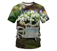 CHSLO Hombre 3D Estampado Camiseta Paisaje Natural De Verano, Camiseta Unisex con Estampado Digital 3D, Cuello Redondo, Camisa Holgada De Media Manga para Hombre, Top De Manga Corta De Gran Tamaño D