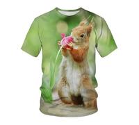 CHSLO Hombre 3D Estampado Camiseta Verano Lindo Ardilla Animal Unisex 3D Camiseta Impresa Digital Cuello Redondo De Manga Corta Suelta Elástica De Secado Rápido Camisa De Fondo De Media Manga