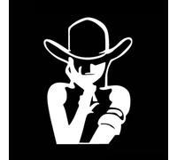 CHSLO Pegatinas para Coches 10 * 14CM One Piece Beauty Pegatinas Traseras Dibujos Animados Nico Robin Graffiti Coche Pegatina Negro Plata