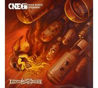 Chuck Norris Experiment - (Black) Right Between the Eyes [Vinilo]