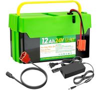 CHUNCAIL Paquete de baterías de iones de litio de 24 V y 12 Ah para coches y juguetes para niños, batería de repuesto con cargador de 2 A, negro y verde