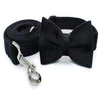 CHUNXVLI Correa para Perros Gatos Corbata De Lazo Collar para Mascotas Diseñador Espesar Terciopelo Ajustable Collar De Perro Personalizado Y Conjunto De Correa Productos para Mascotas(37-60cm)