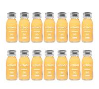 Chupito de jengibre - para un golpe rico de energía. Ecológico y vegano. Sin azúcar y sin aditivos. 14 x 60 ml