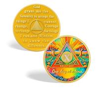 CHURYUML Moneda de sobriedad de 10 años, chip sobrio de un día a la vez, monedas AA de diez años con medallones de recuperación de oración de serenidad, regalos de sobriedad para mujeres y hombres