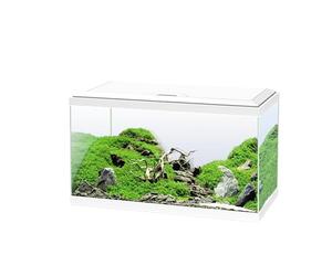 Ciano, Acuario 60 Blanco, para Peces, Equipado con Filtro, consumibles, LED y calefacción, 58L, Embalaje Reforzado para envío Web