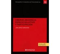 Ciberdelincuencia: Espacio Delictivo Y Participación